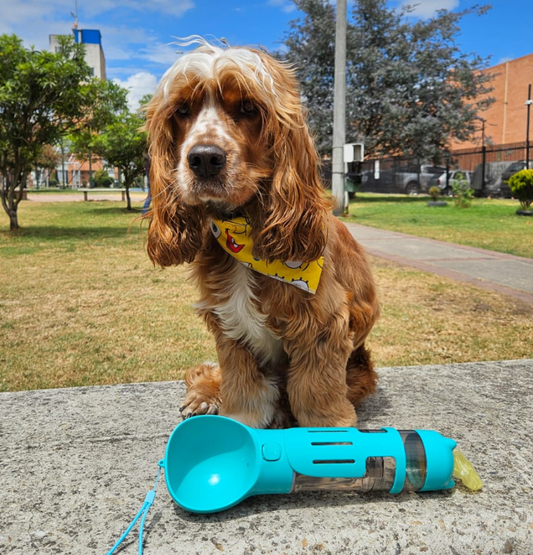 Bebedero Multifuncional 4 en 1 Mascotas: Agua, comida, bolsas y recogedor